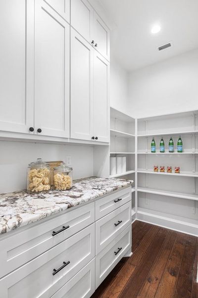 View of walk-in pantry with white cabinetry View of walk-in pantry with white cabinetry