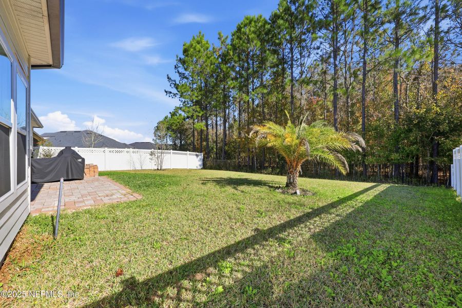 Exterior details and patio area of a home in Silver Landing at SilverLeaf, St. Augustine (Image 26).