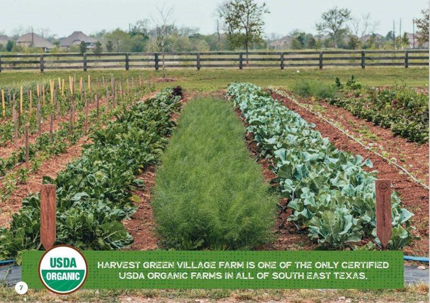 Newmark Homes new construction in the Agri-community Harvest where you can grow your own food in the community farm.