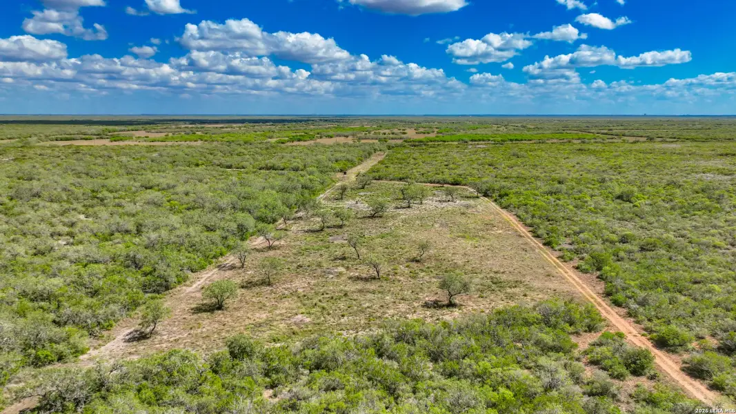 Natural landscape and outdoor views near  in Alice (Image 32).
