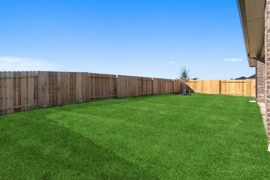 representative photo