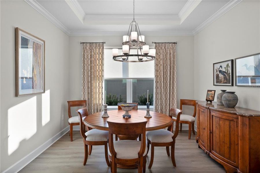 Furnished interior view inside a new home in Esplanade at Wiregrass Ranch, Wesley Chapel (Image 10).