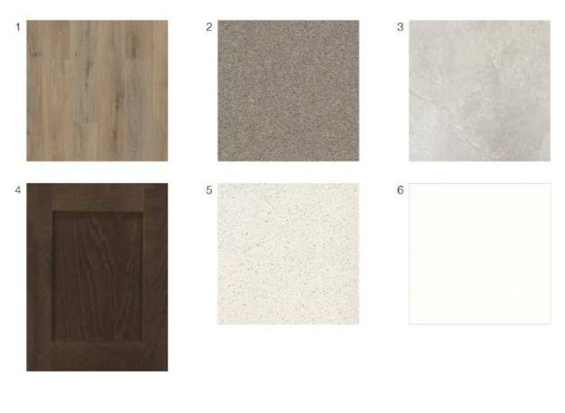 9630 Akashi Run Drive design selections! This home is currently under construction and selections are subject to change.