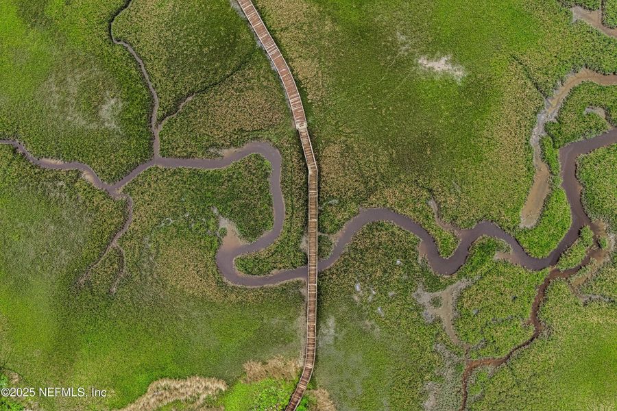 Natural landscape and outdoor views near  in St. Augustine (Image 95).