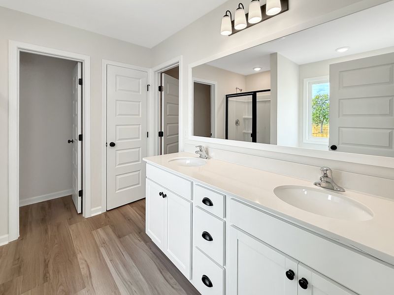 Furnished interior view inside a new home in Tibet Road at Sassafras, Allenhurst (Image 9).