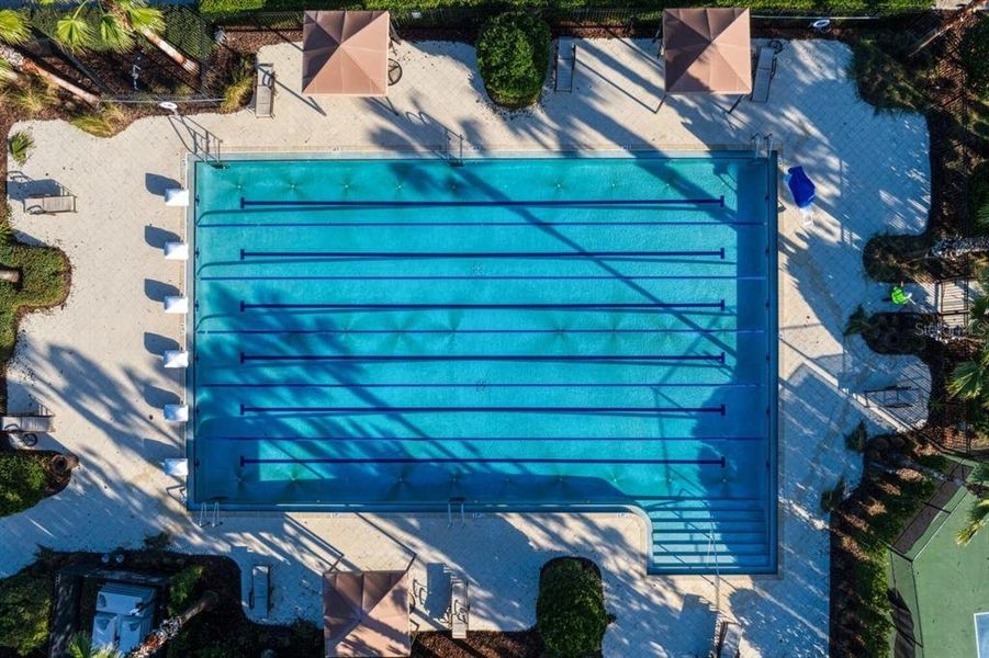 Community amenities in , Wesley Chapel (Image 53).