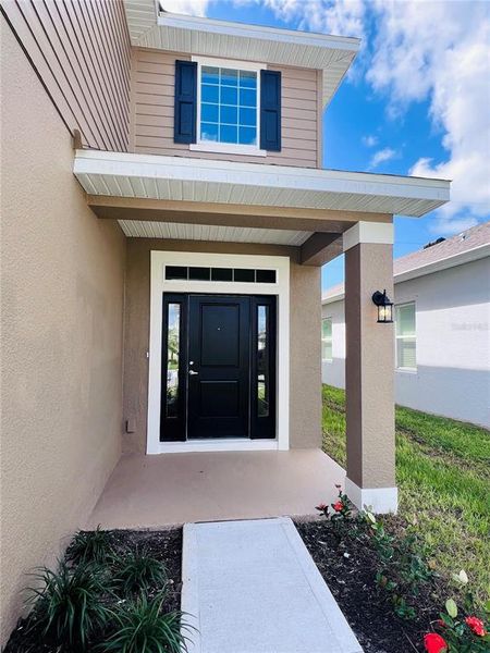 Exterior details and patio area of a home in Harmony Central, St. Cloud (Image 9).
