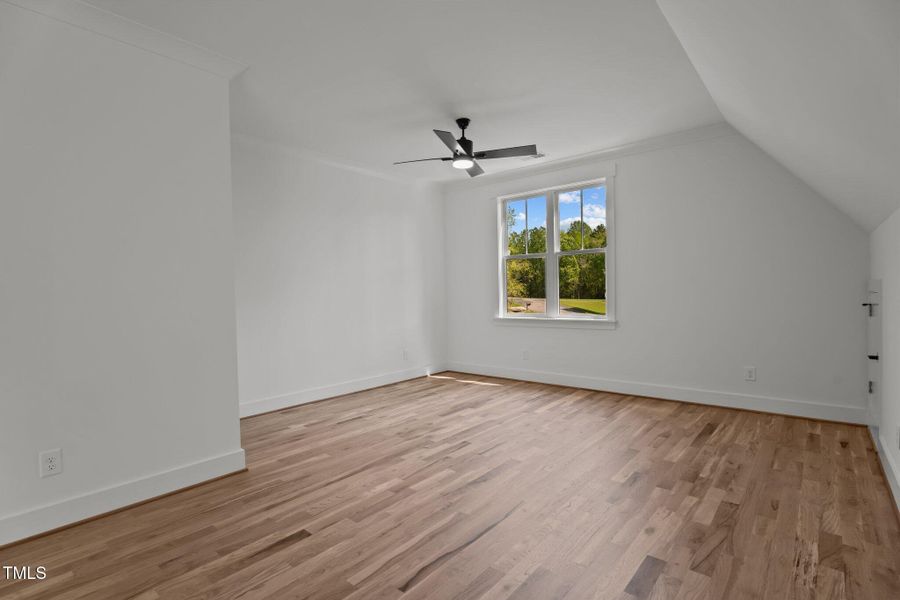 50-web-or-mls-DSC03167