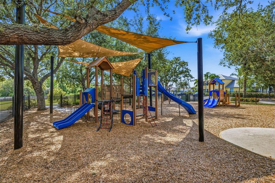 Community amenities in , Apollo Beach (Image 44). Community amenities in , Apollo Beach (Image 44).