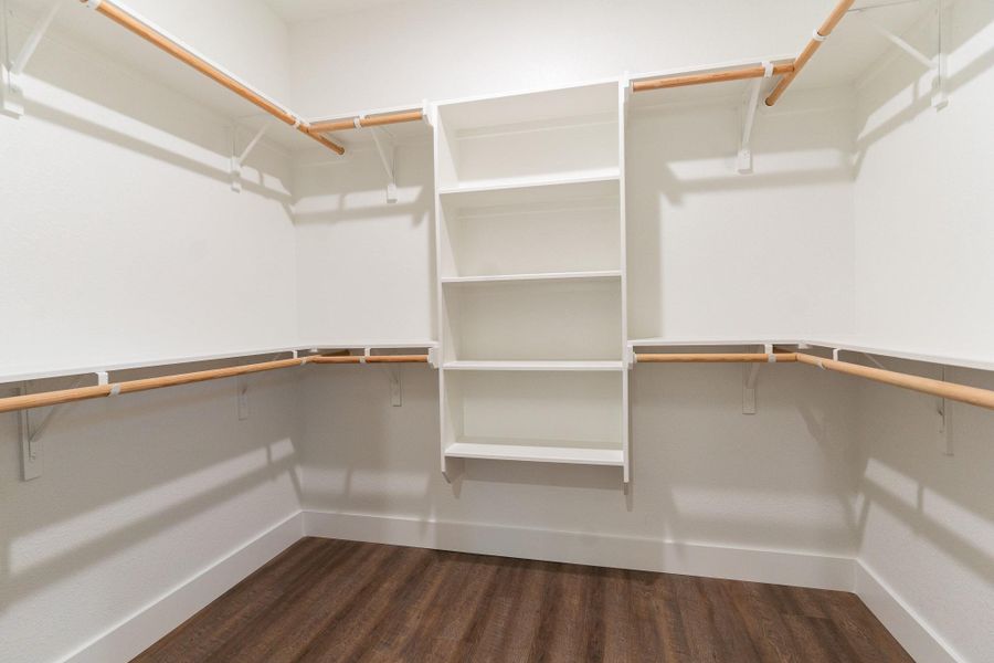 Spacious closet with dark wood finished floors