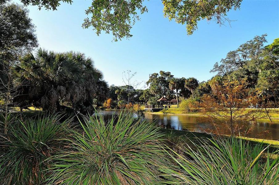 Natural landscape and outdoor views near in Sarasota (Image 45). Natural landscape and outdoor views near in Sarasota (Image 45).