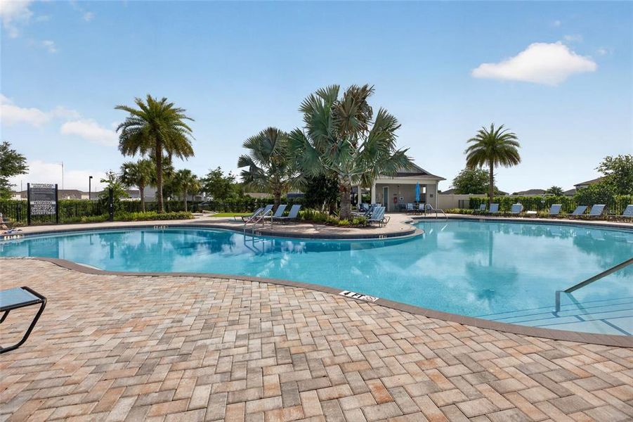 Community amenities in , Wesley Chapel (Image 43).