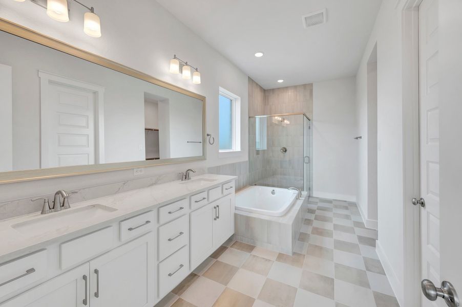 Owner's Bath