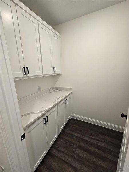 Laundry room with dark hardwood / wood-style floors