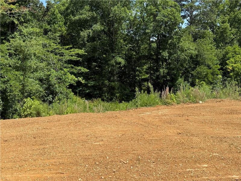Natural landscape and outdoor views near Maple Village in Adairsville (Image 18). Natural landscape and outdoor views near Maple Village in Adairsville (Image 18).