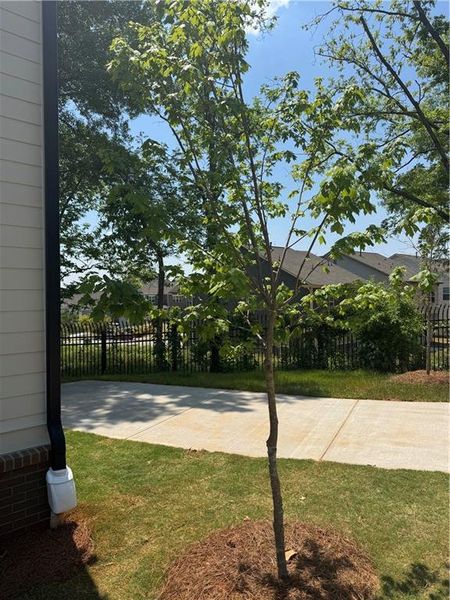 Exterior details and patio area of a home in , Scottdale (Image 3).