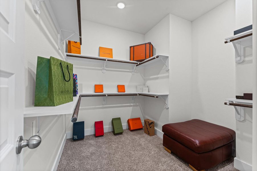 Generously sized walk-in closet offering functional storage and organization space.