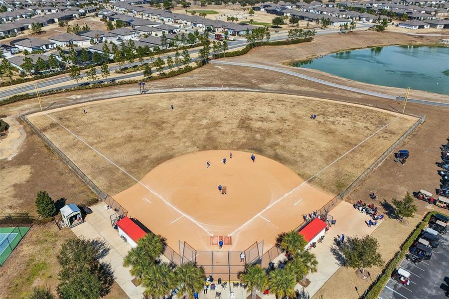 Site preparation for new homesites in , Ocala (Image 21).