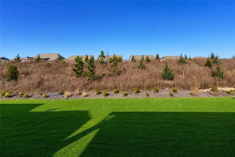 Natural landscape and outdoor views near  in Hoschton (Image 55).