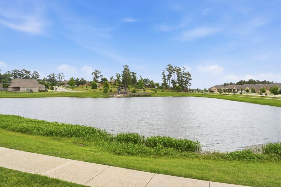 Natural landscape and outdoor views near Wedgewood Forest in Conroe (Image 36).