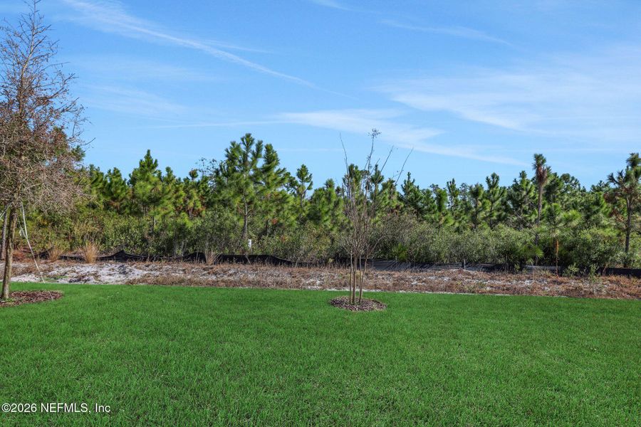Natural landscape and outdoor views near Seminole Trace in Palm Coast (Image 57).