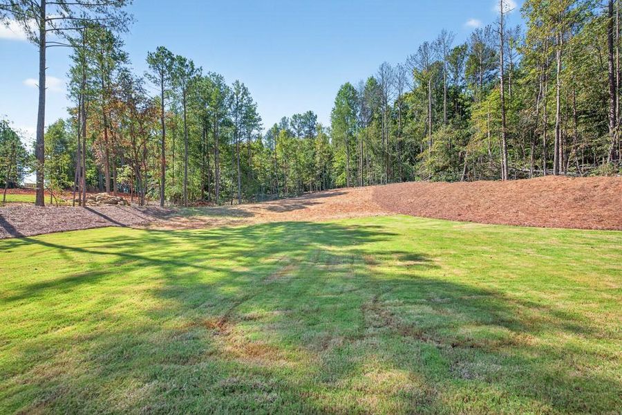 Natural landscape and outdoor views near  in Jefferson (Image 49).