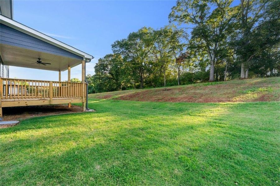 Exterior details and patio area of a home in Steeplechase, Hoschton (Image 25).