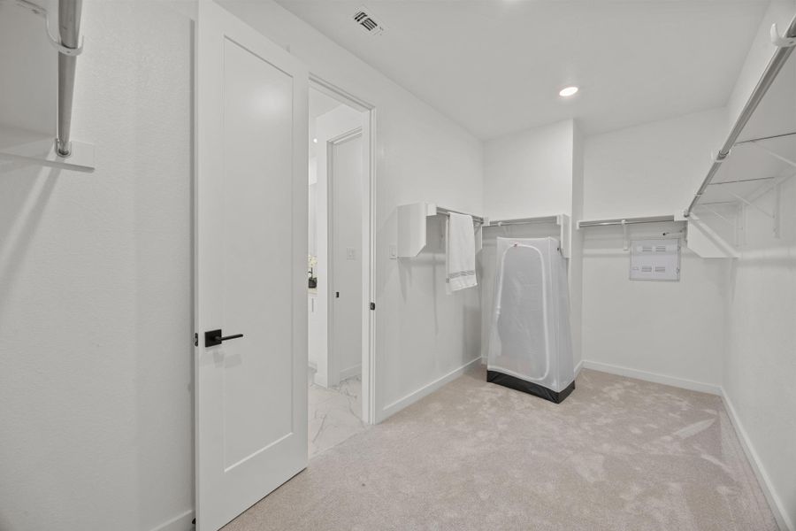 Walk in closet with light carpet
