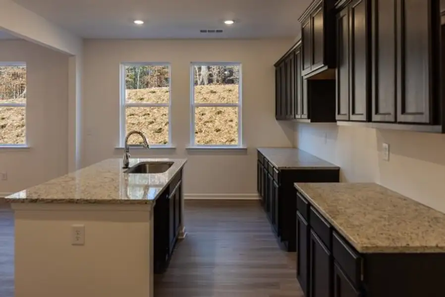 Representative furnished interior of a home built from the Laurel by Piedmont Residential in Meadowyn, Cartersville (Image 3).