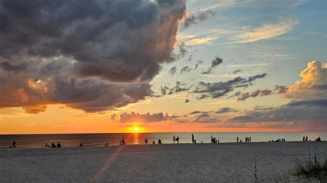 Natural landscape and outdoor views near  in Nokomis (Image 82).