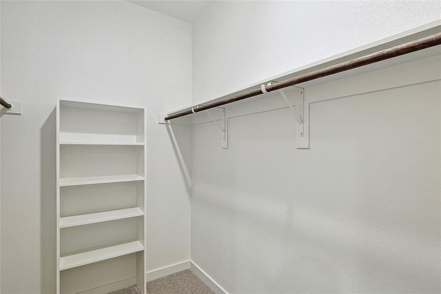 Walk in closet with carpet flooring