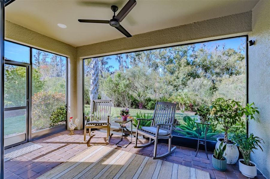 Exterior details and patio area of a home in , Wesley Chapel (Image 4). Exterior details and patio area of a home in , Wesley Chapel (Image 4).