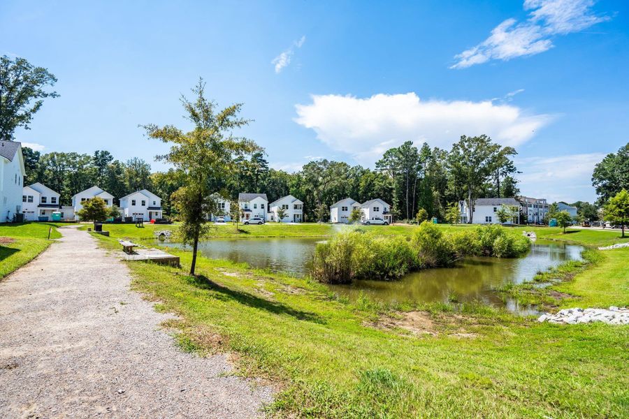 Natural landscape and outdoor views near in Charleston (Image 67). Natural landscape and outdoor views near in Charleston (Image 67).