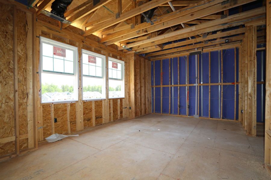 Framing Framing