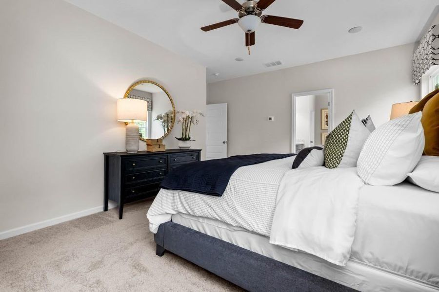 Furnished interior view inside a new home in Kingston Park, Kingston (Image 36).