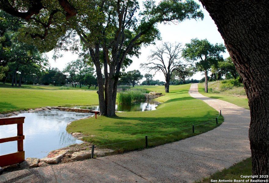 Natural landscape and outdoor views near  in Blanco (Image 33).