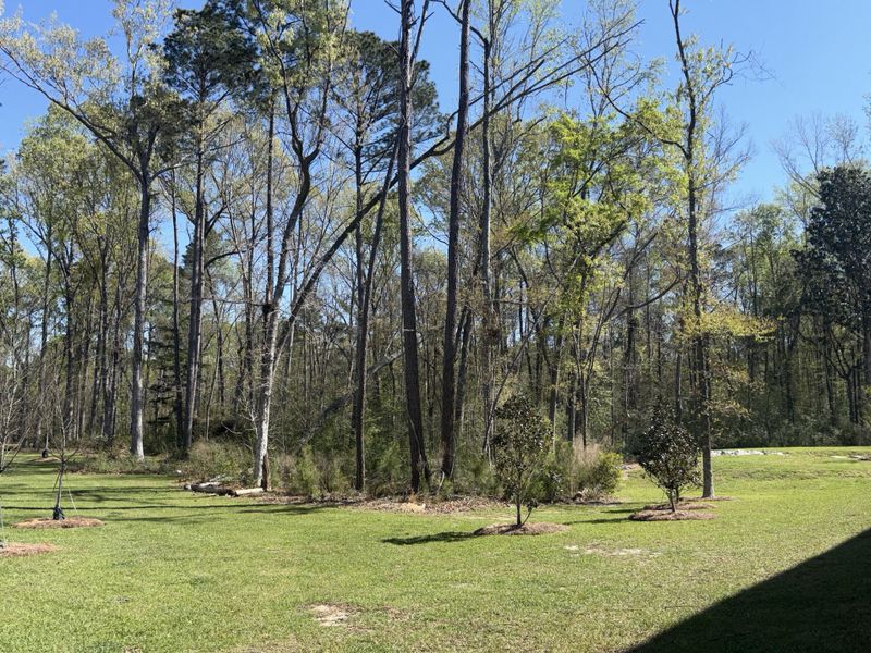 Natural landscape and outdoor views near  in Hanahan (Image 16).