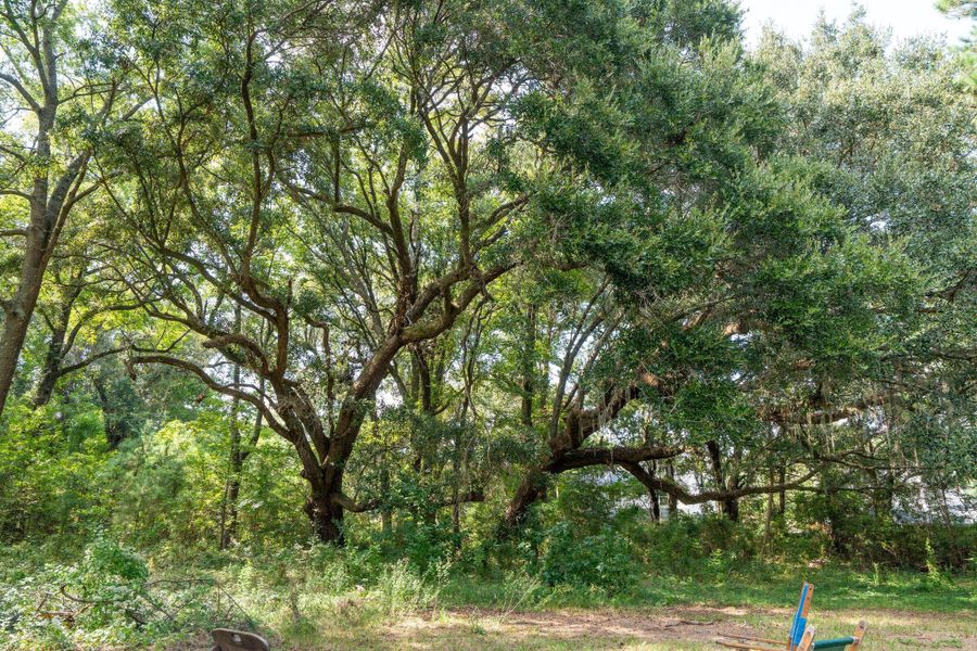 Natural landscape and outdoor views near  in Mount Pleasant (Image 12).