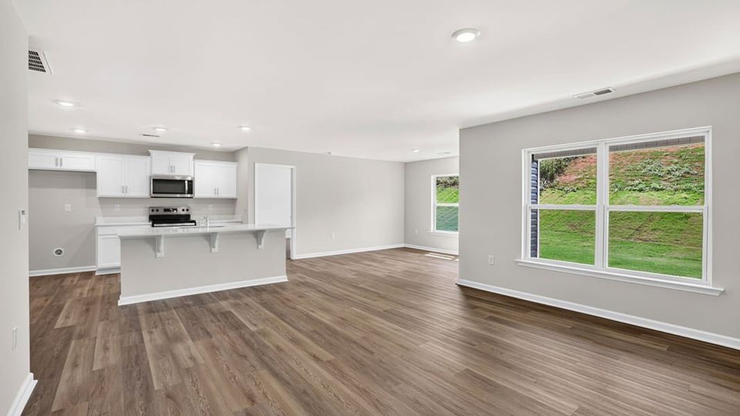 Spacious, unfurnished interior of a new home in Gibson Grove, Laurens (Image 23).