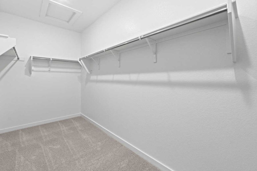 Primary Closet