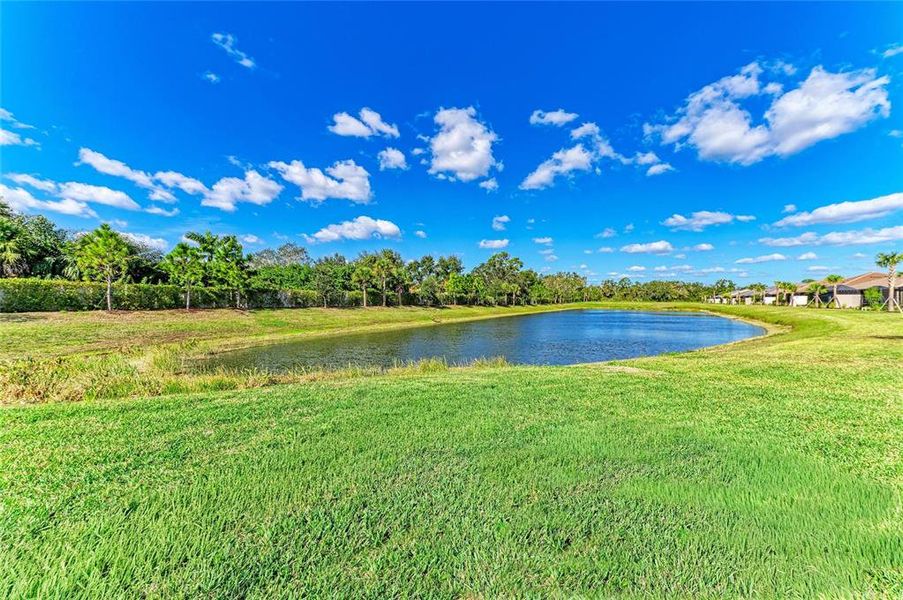 Natural landscape and outdoor views near  in Bradenton (Image 53).