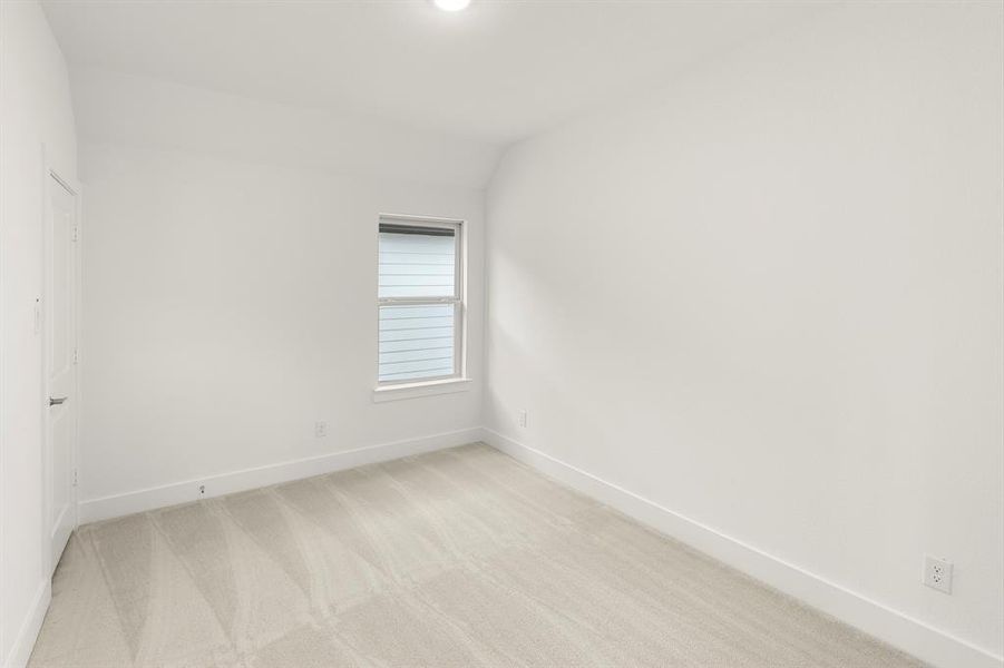 16. 1141 Amaryllis - Bed 3