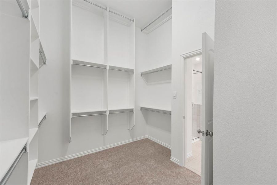 Walk in closet featuring light colored carpet