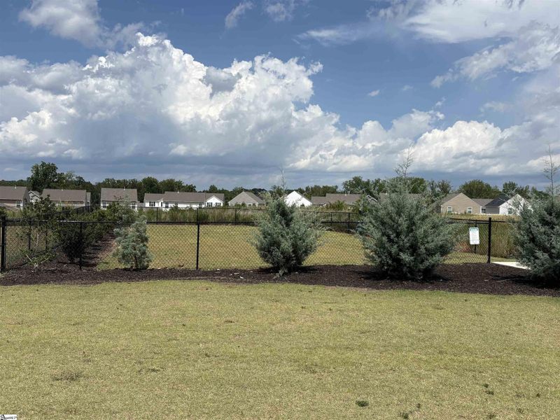 Natural landscape and outdoor views near Hazelwood in Boiling Springs (Image 24).