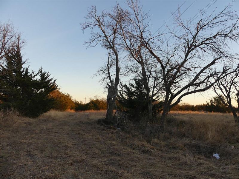 Natural landscape and outdoor views near  in Forestburg (Image 20).