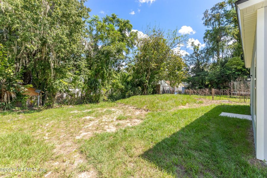 Natural landscape and outdoor views near  in Jacksonville (Image 21).