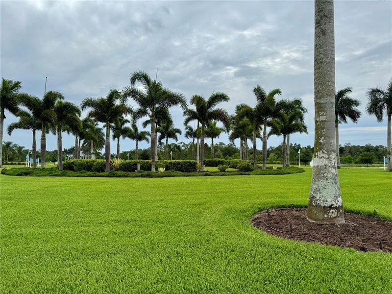 Natural landscape and outdoor views near Grand Park in Sarasota (Image 26). Natural landscape and outdoor views near Grand Park in Sarasota (Image 26).