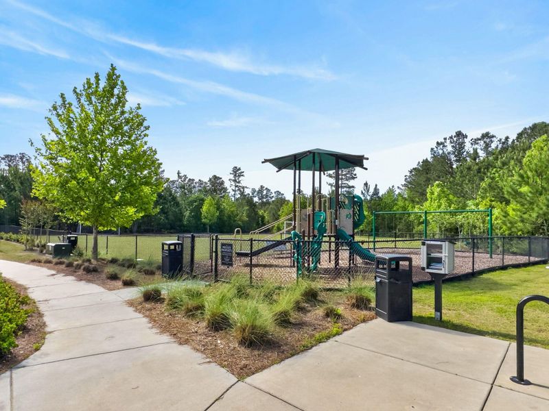 Community amenities in Bradford Pointe, Summerville (Image 49).
