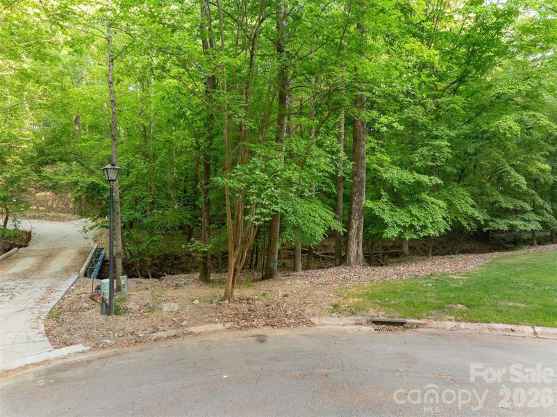 Natural landscape and outdoor views near  in Matthews (Image 39).