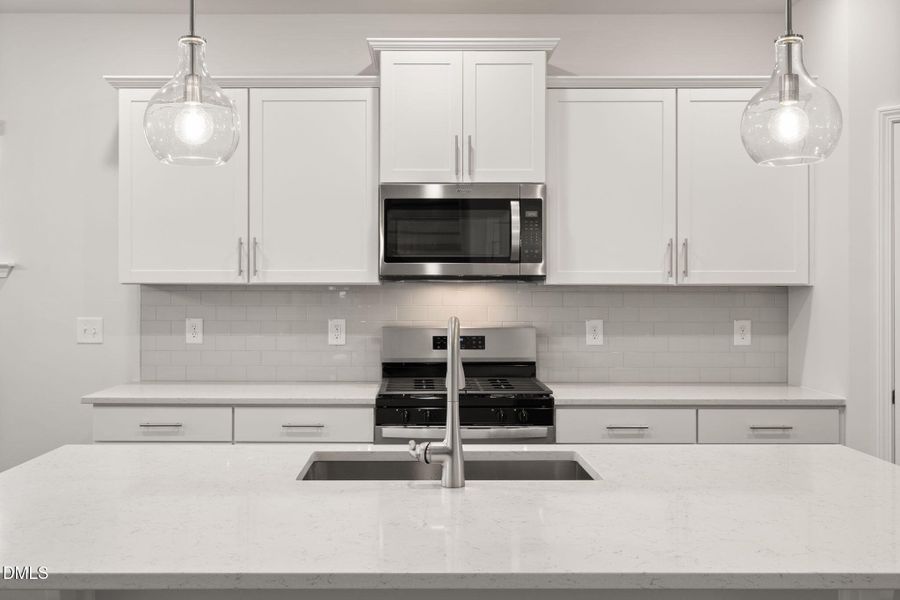 PRO HAMPTON LOT #77 PIC (7)